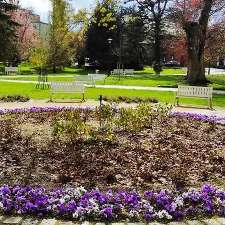 Daire Apartament Kosciuszki W Centrum Sopotu *
